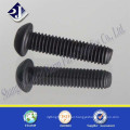 Hexagonal socket pan head screw plated black